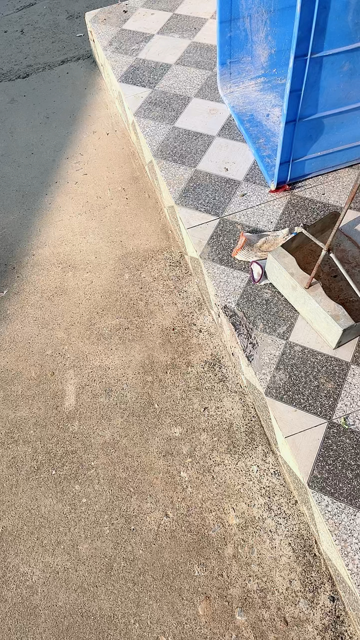 无花果干炖肉是美味