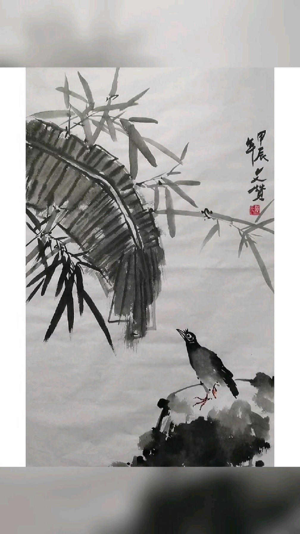 国画写意花鸟画,芭蕉小鸟图