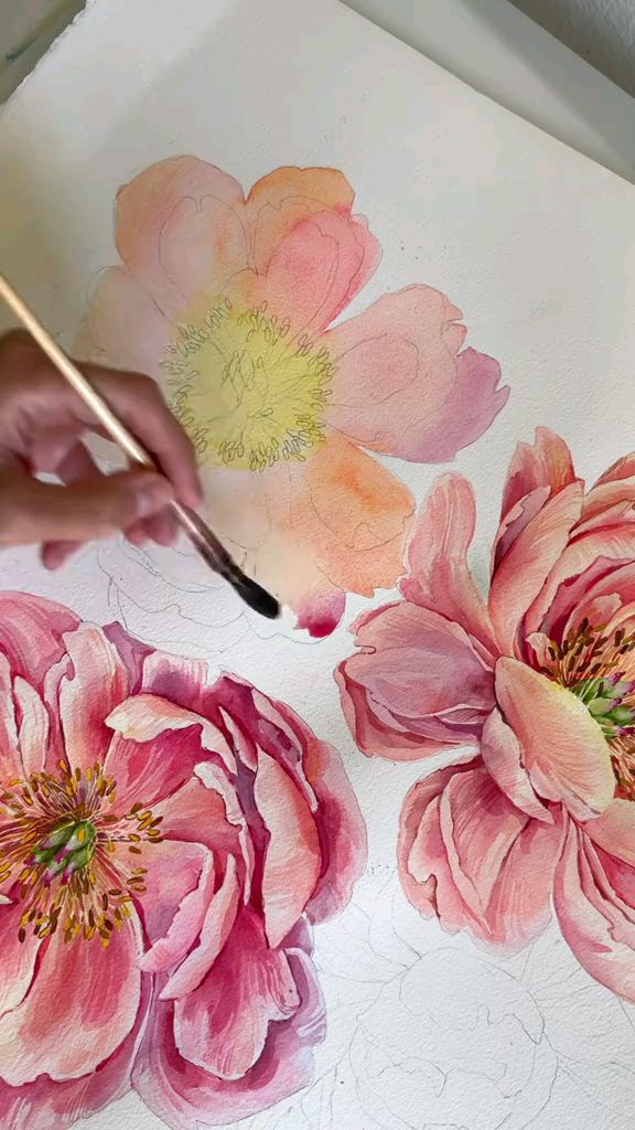 如何用水彩画艳丽的牡丹花