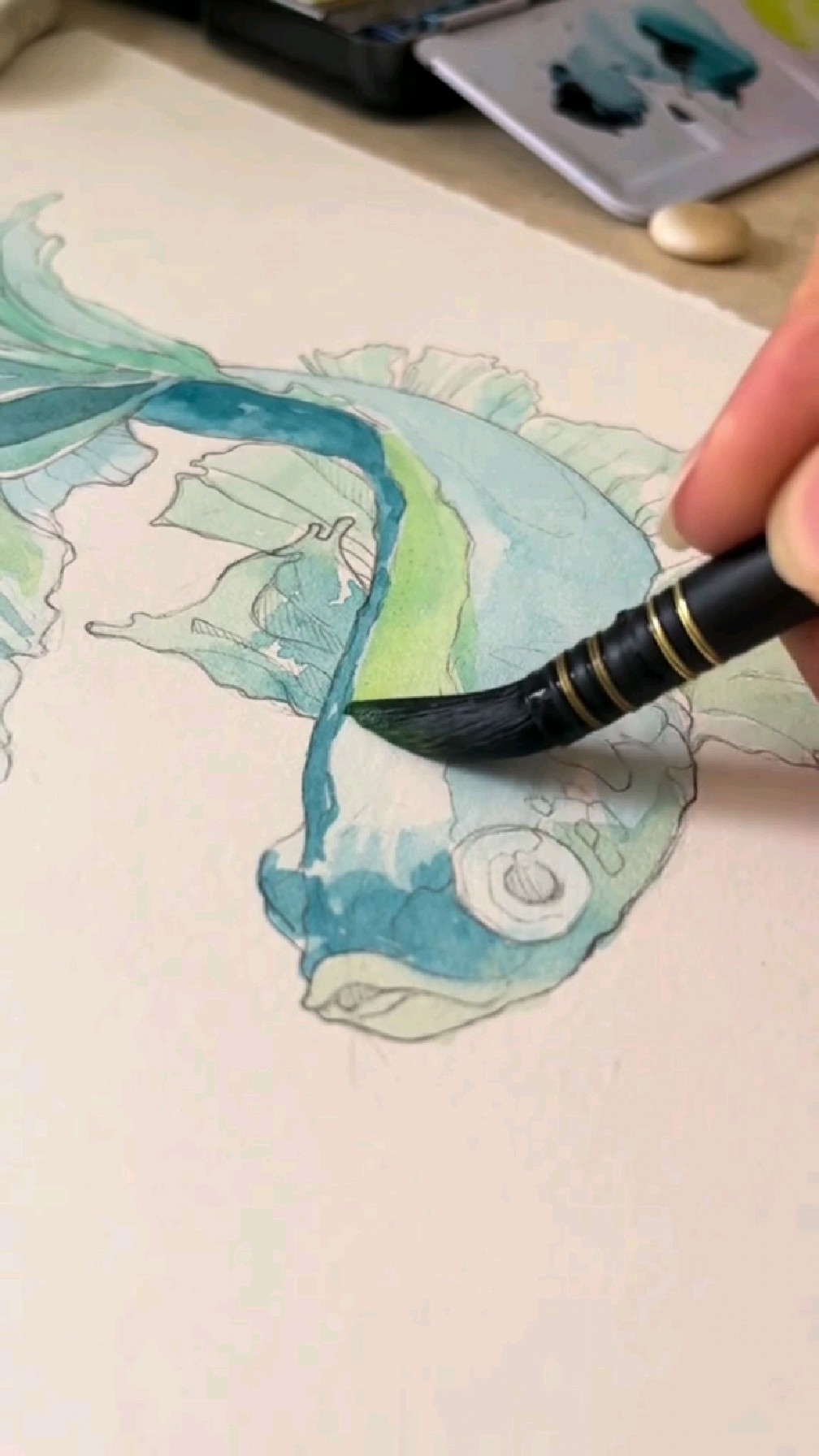 用水彩画绿色的斗鱼