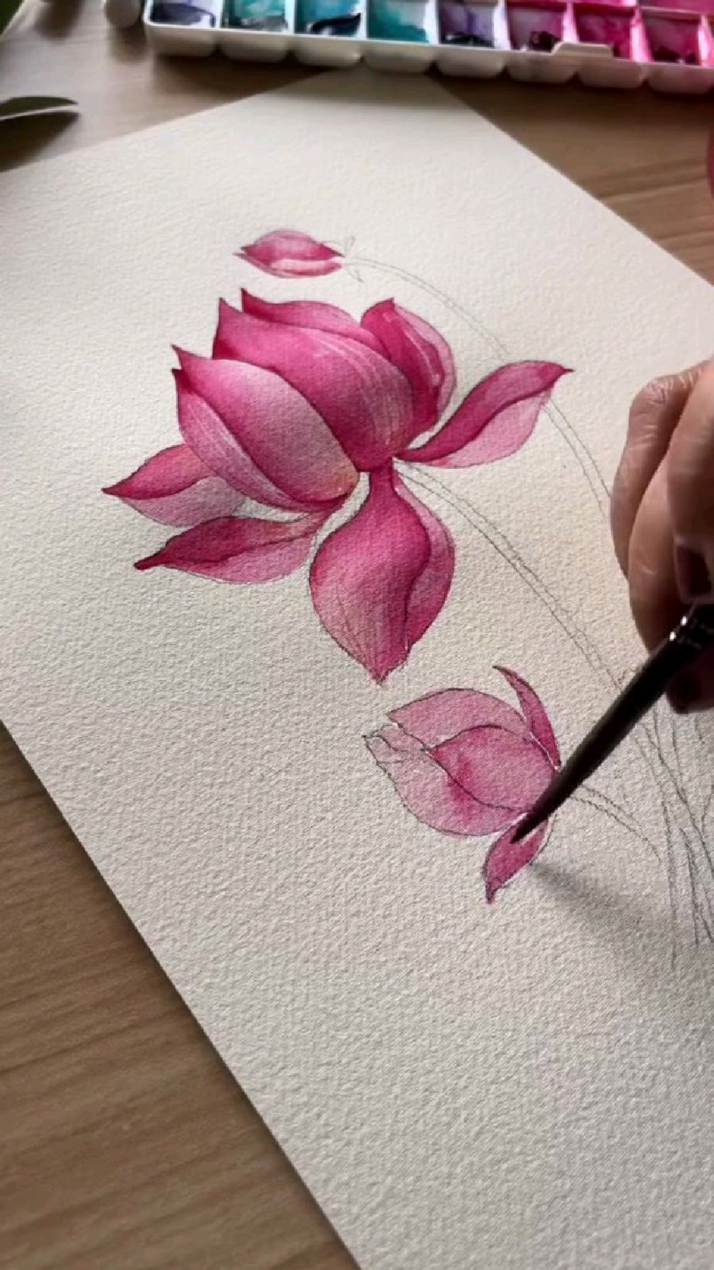 如何用水彩画荷花