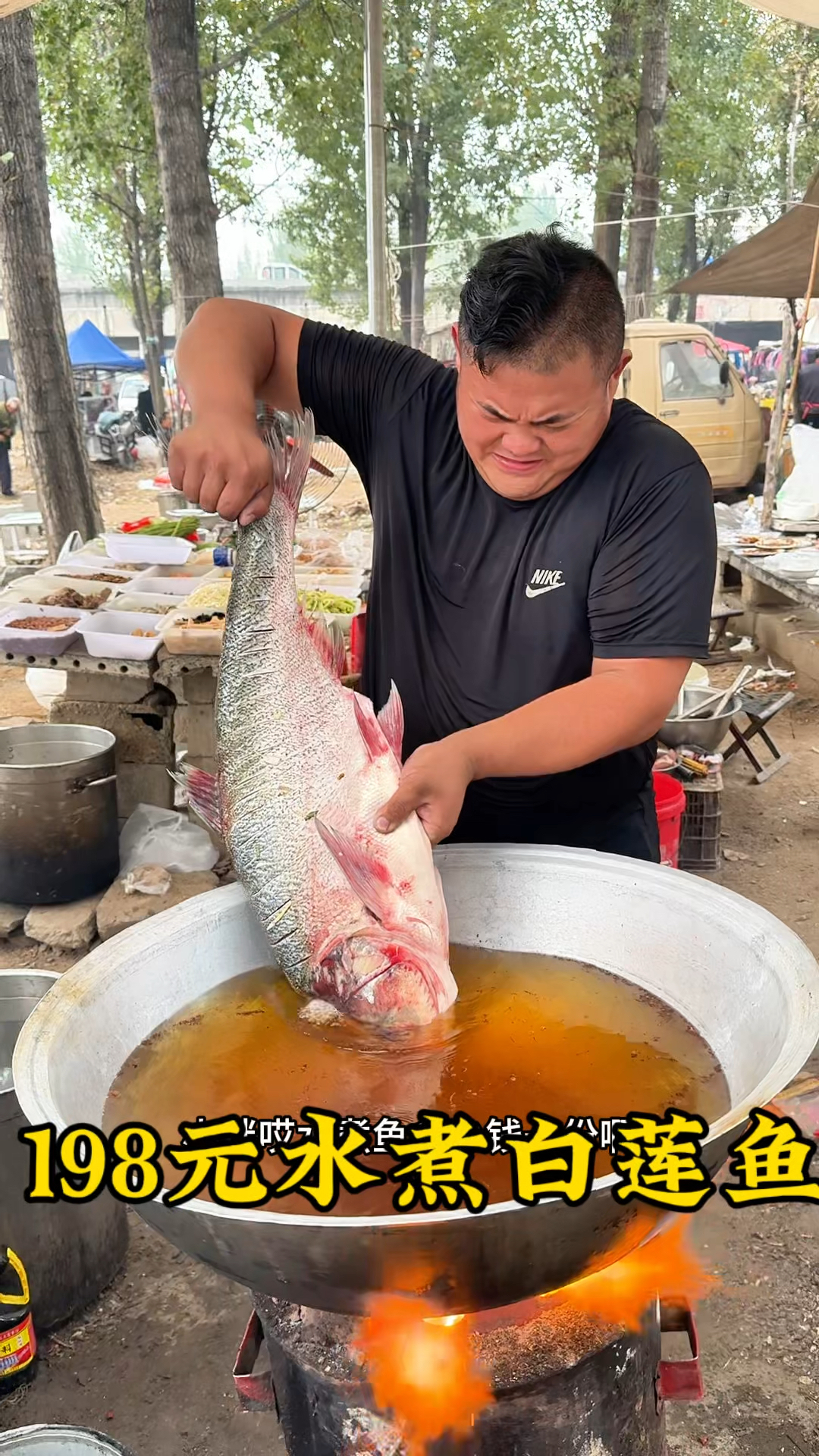 198元水煮白莲鱼