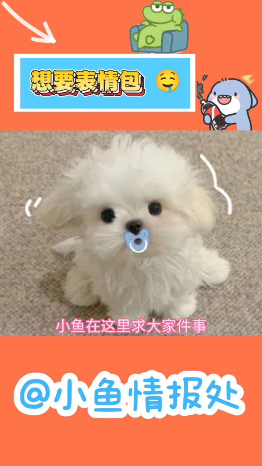 可不可以给小鱼点表情包呀