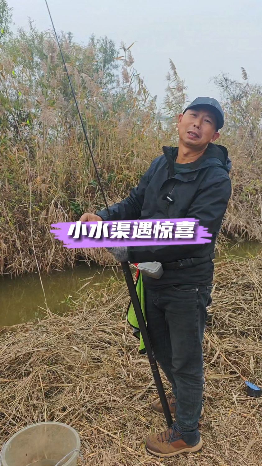 降温刮风天,鱼咋也起浮了呢?