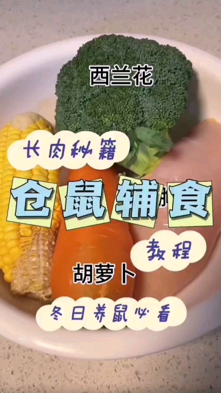 仓鼠辅食怎么做,来看看吧
