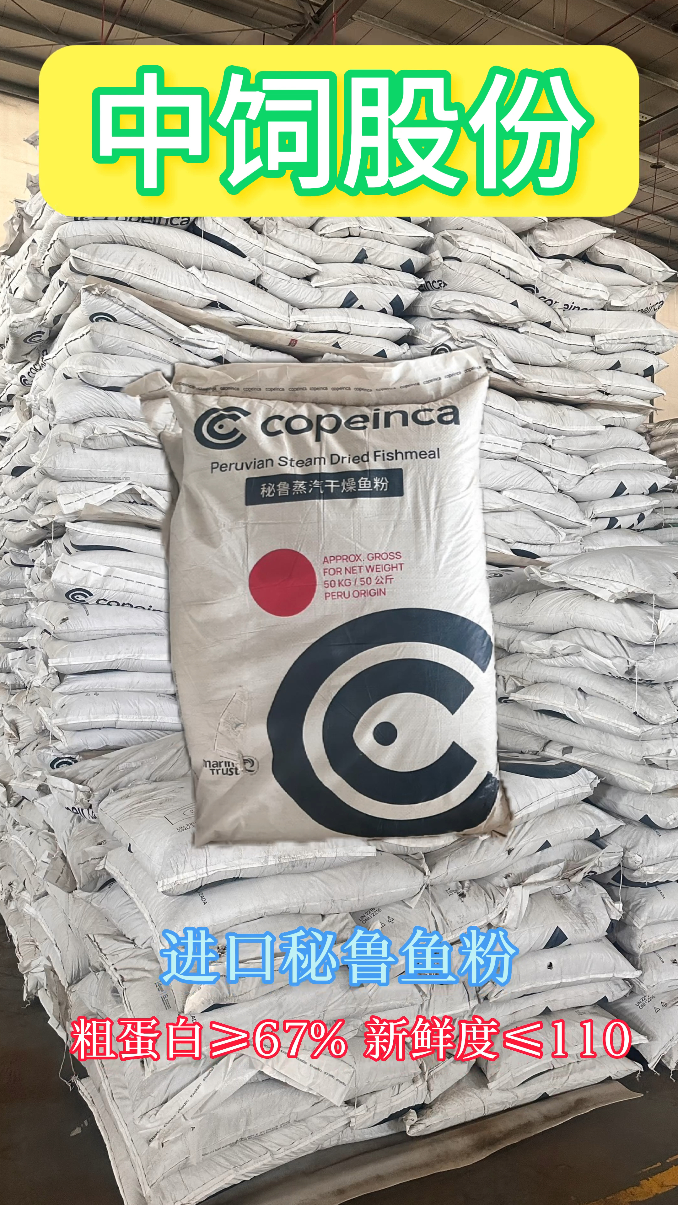 秘鲁进口鱼粉,进口鱼粉报价下行趋势#鱼粉 #水产饲料 #进口鱼粉