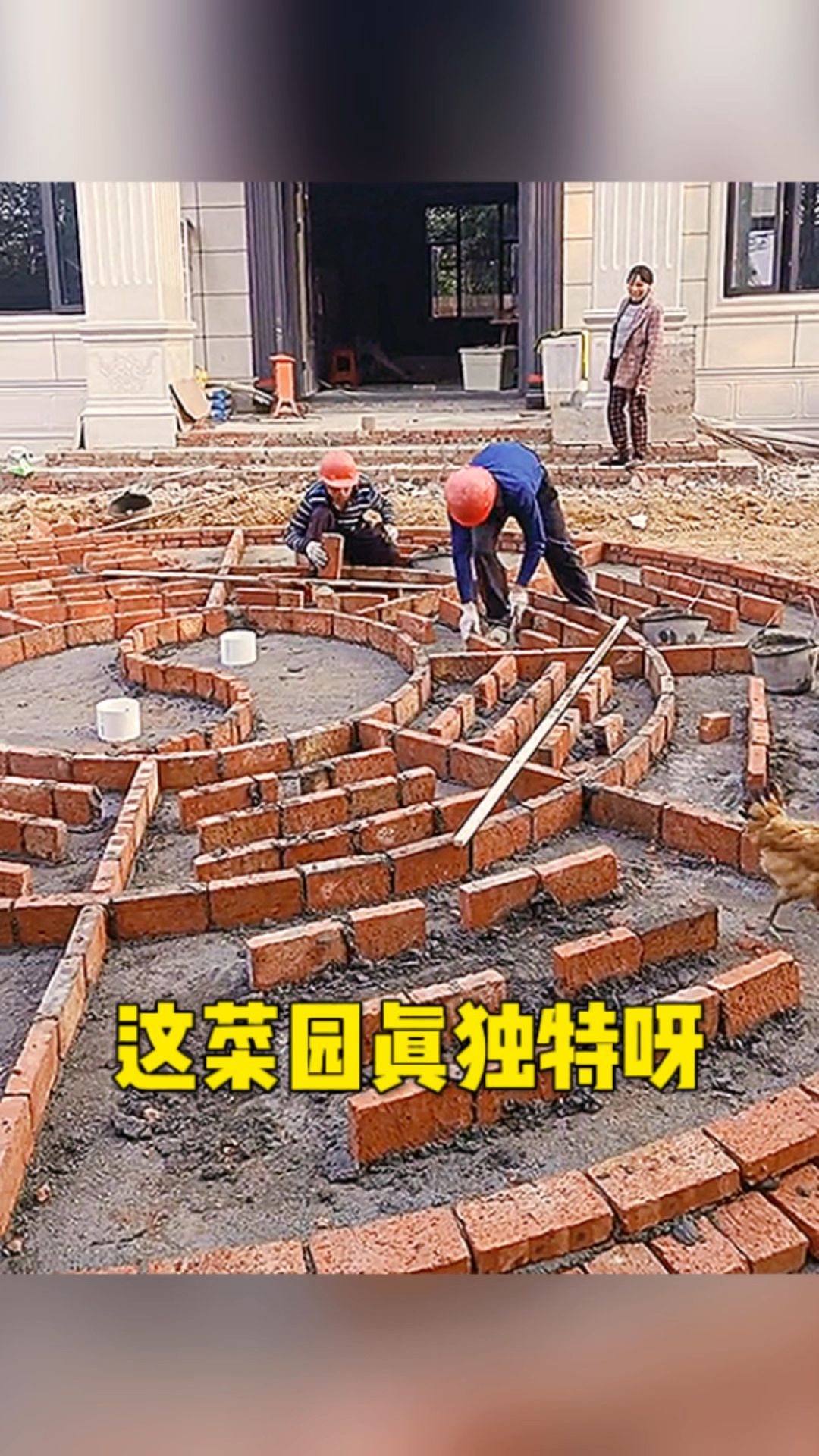 这菜园设计的独特呀