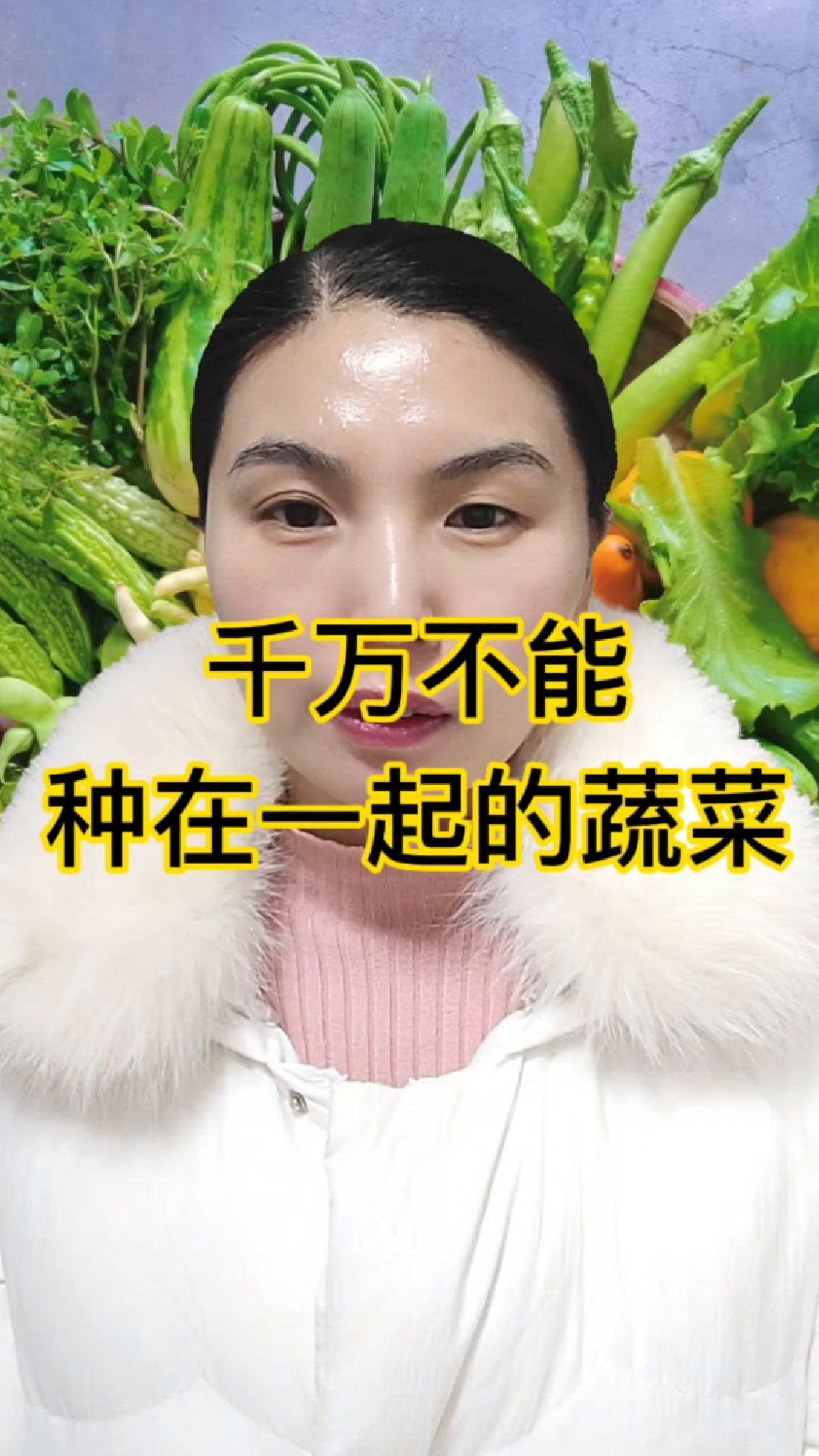 都有哪些蔬菜不能种在一起