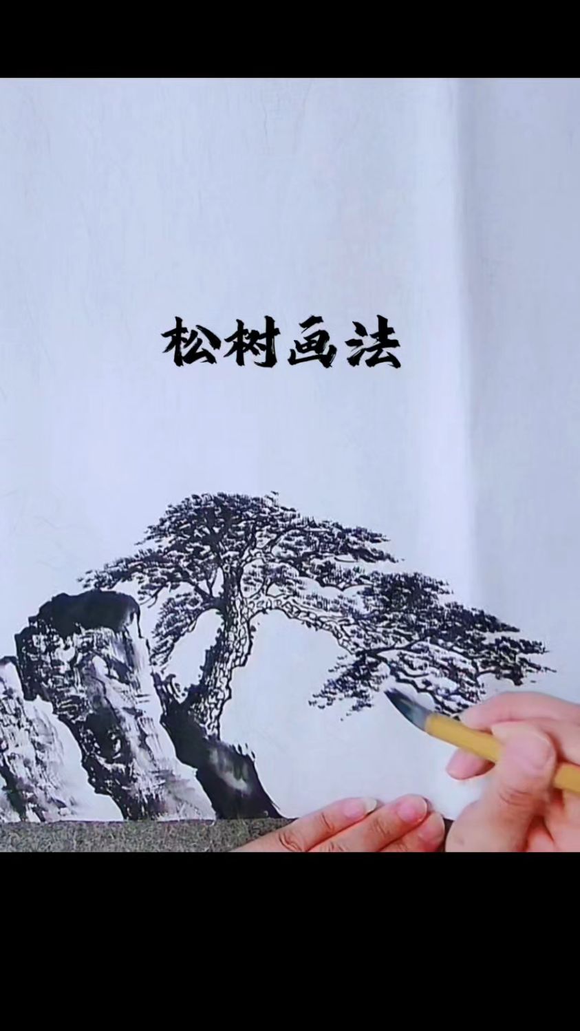 给大家分享国画松树的画法