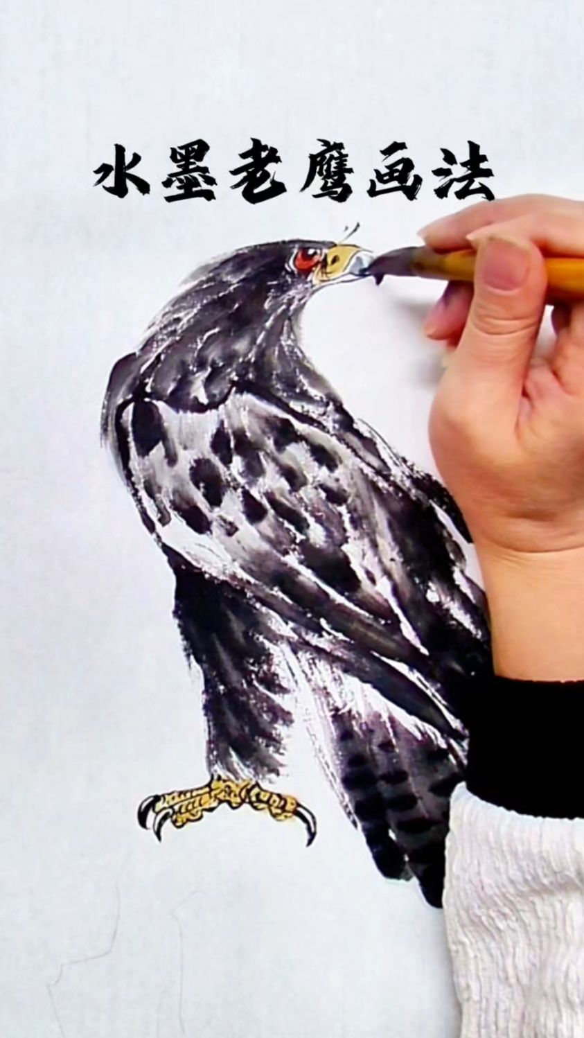 一分半教你画水墨老鹰,高瞻远瞩