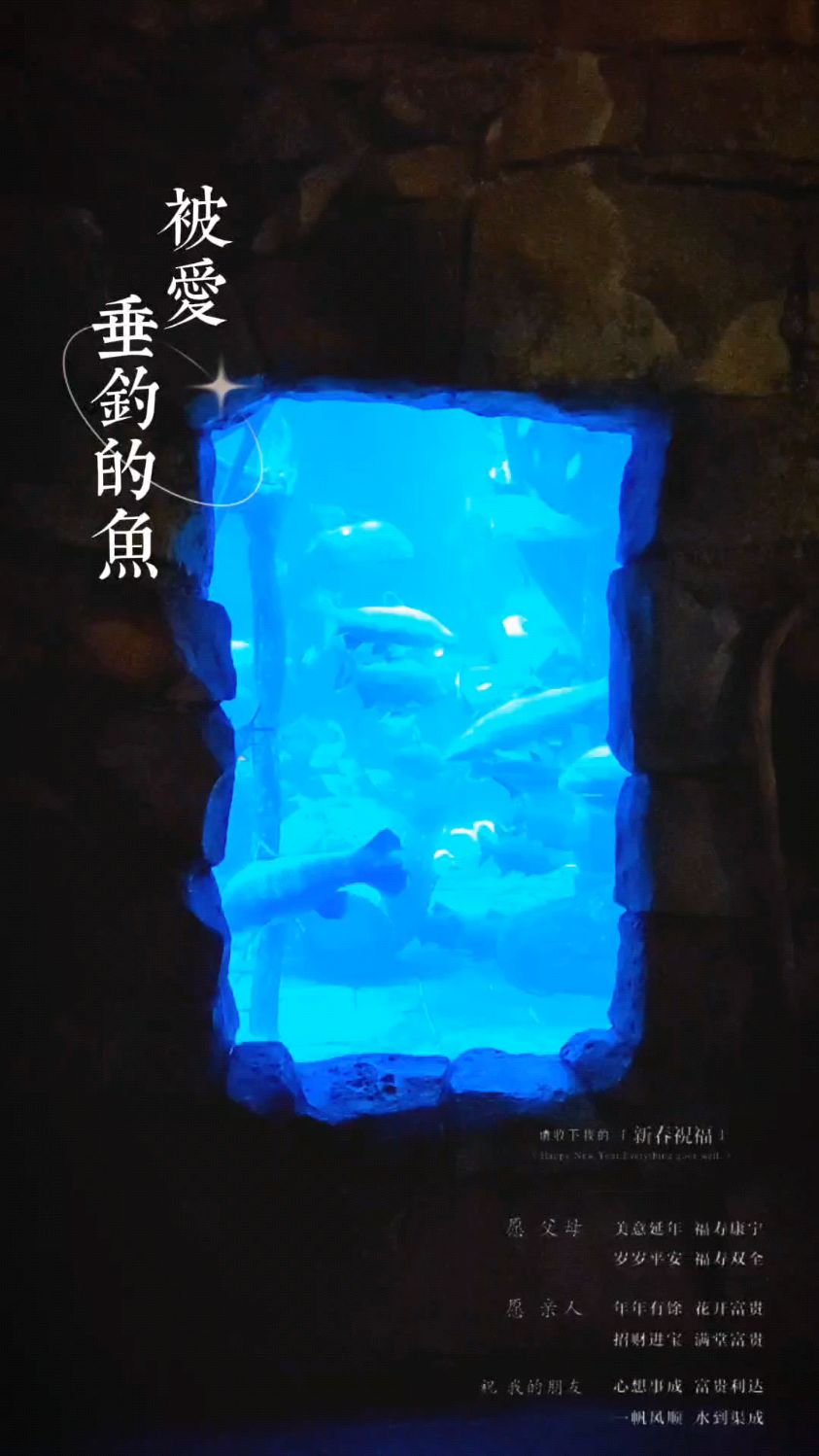 门丽一首《被爱垂钓的鱼》旋律优美,伤感好听深情感人,百听不厌