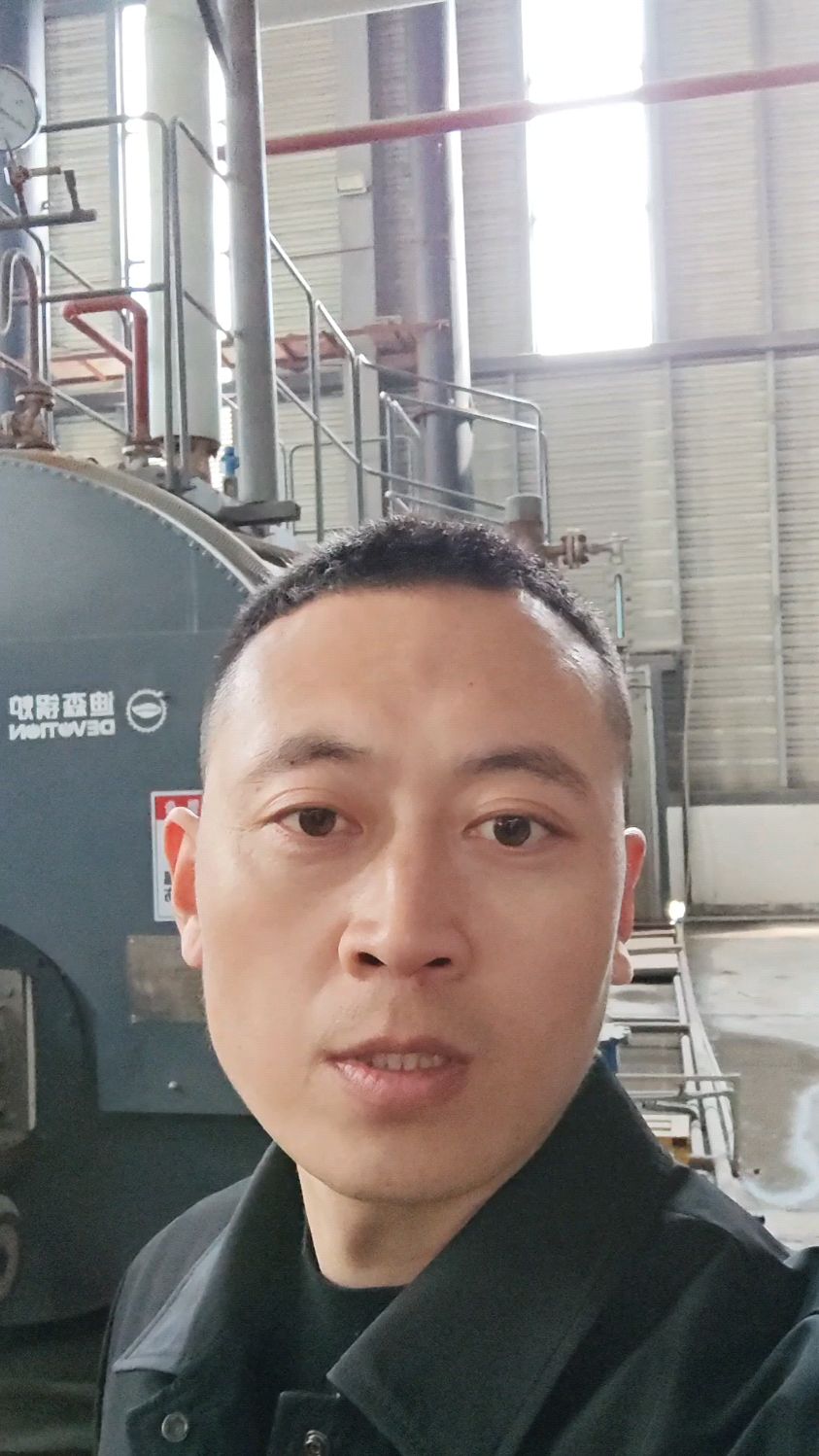 迪森燃气蒸汽锅炉