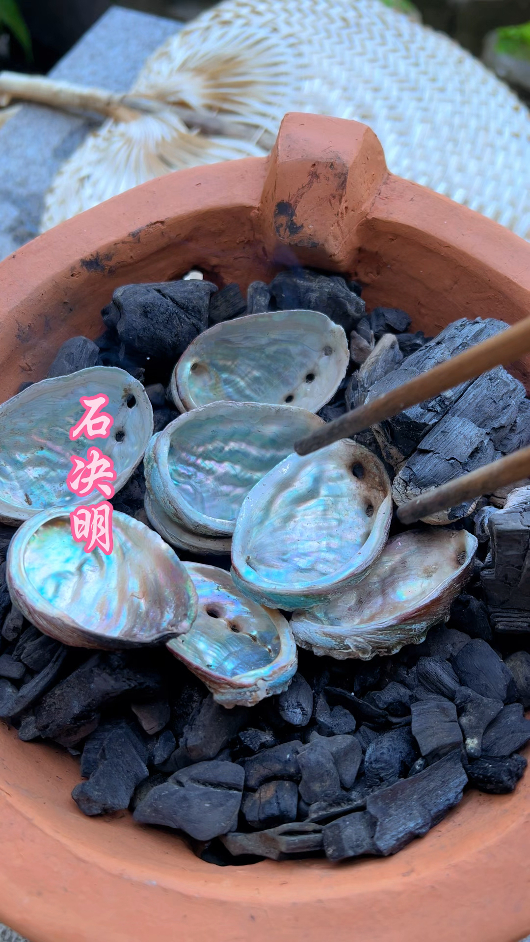 鲍鱼壳的处理方法,处理好它叫石决明