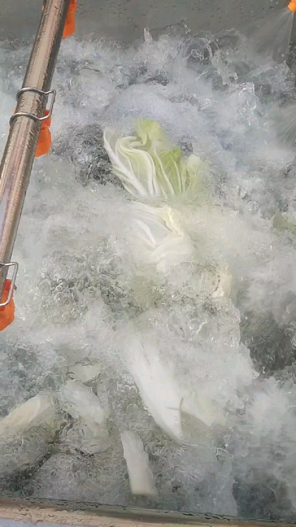 这款洗菜机为食品安全保驾护航!清洗萝卜、白菜的好帮手