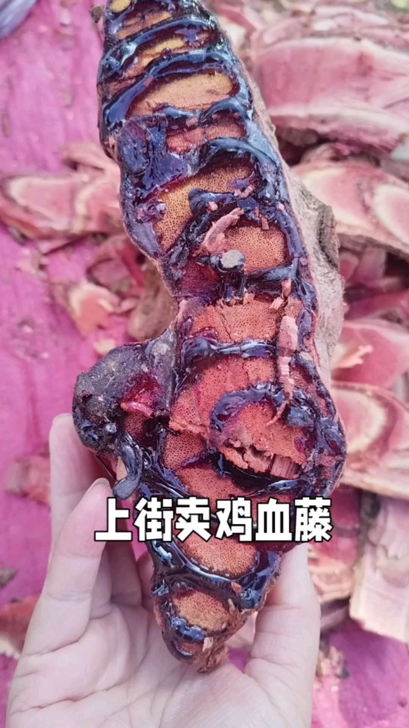 鸡血藤对我们有什么好处?