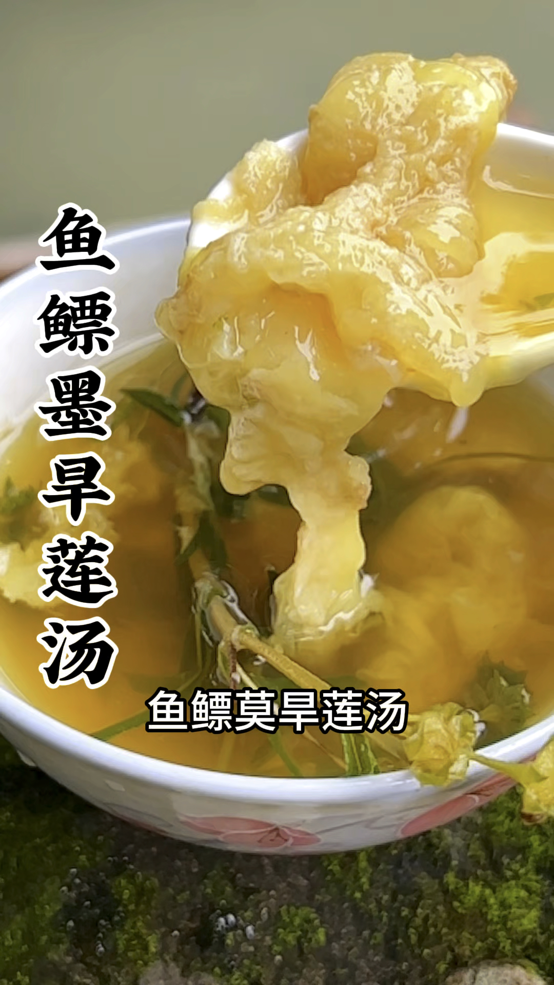 鱼鳔墨旱莲汤,分享一道民间美食