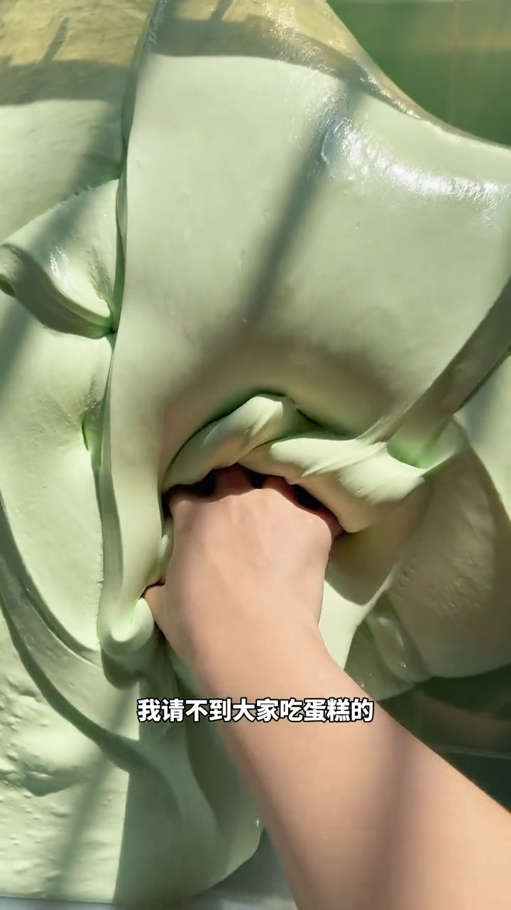 龙井慕斯蛋糕 你能这么对我吗??!