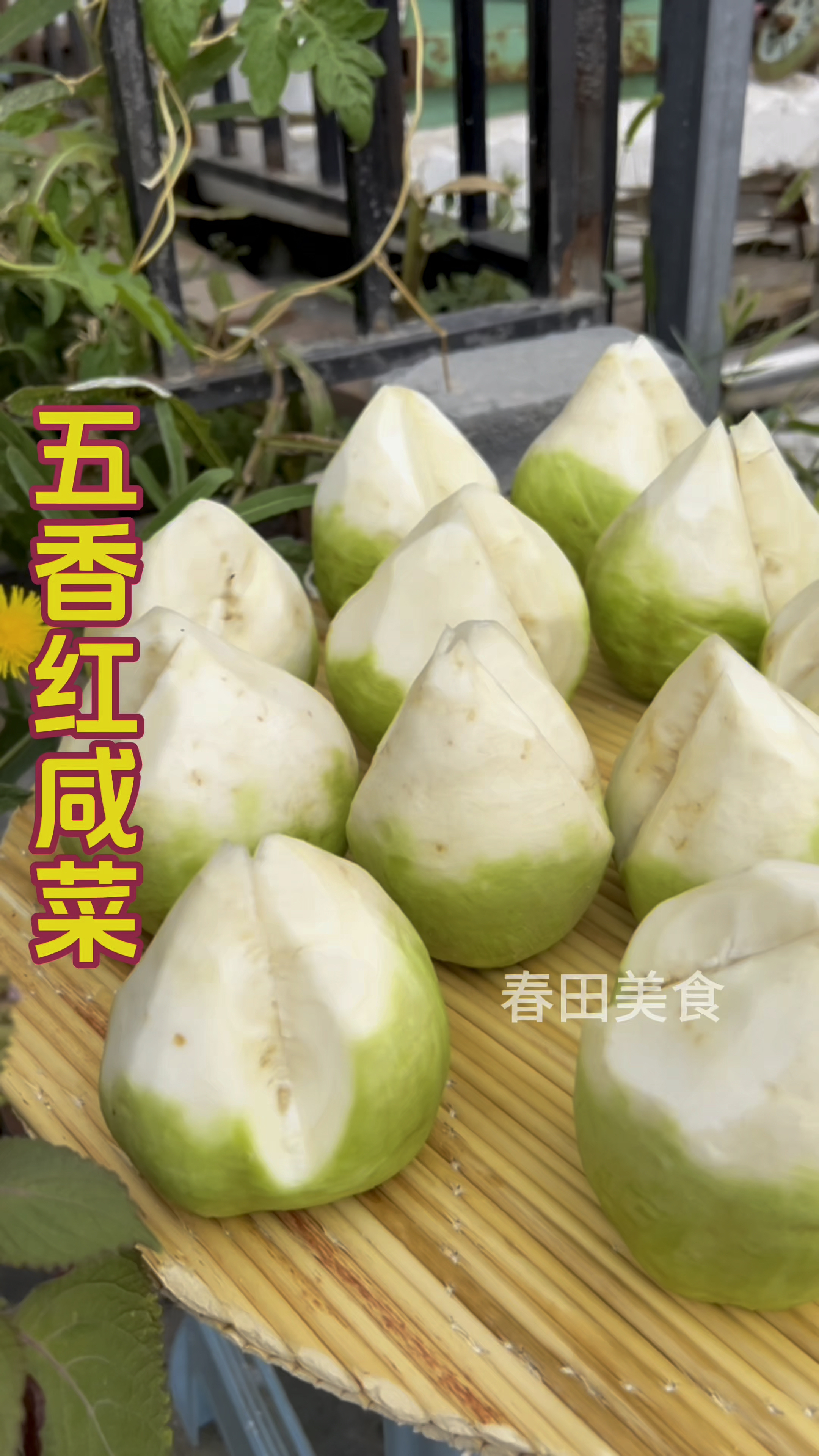 内蒙五香红咸菜做法