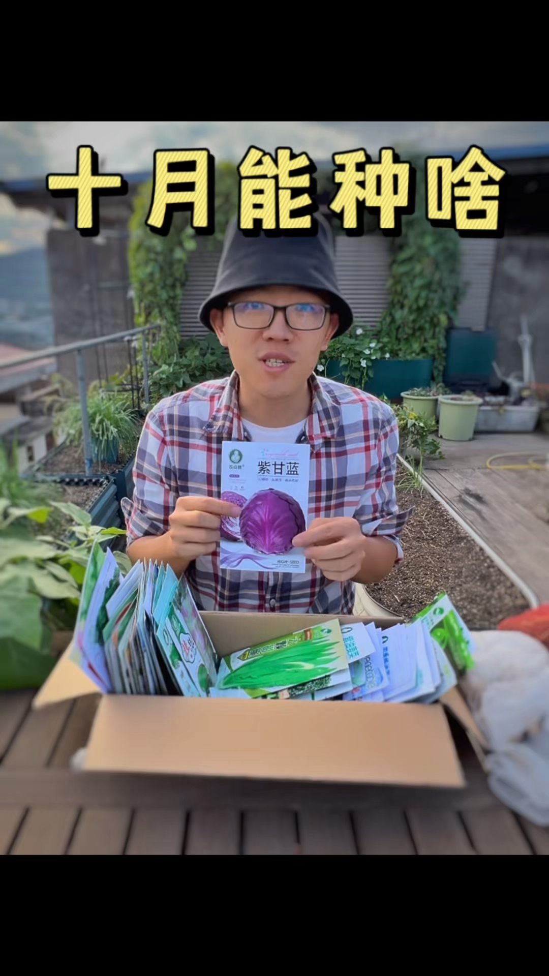 十月南方能种什么菜