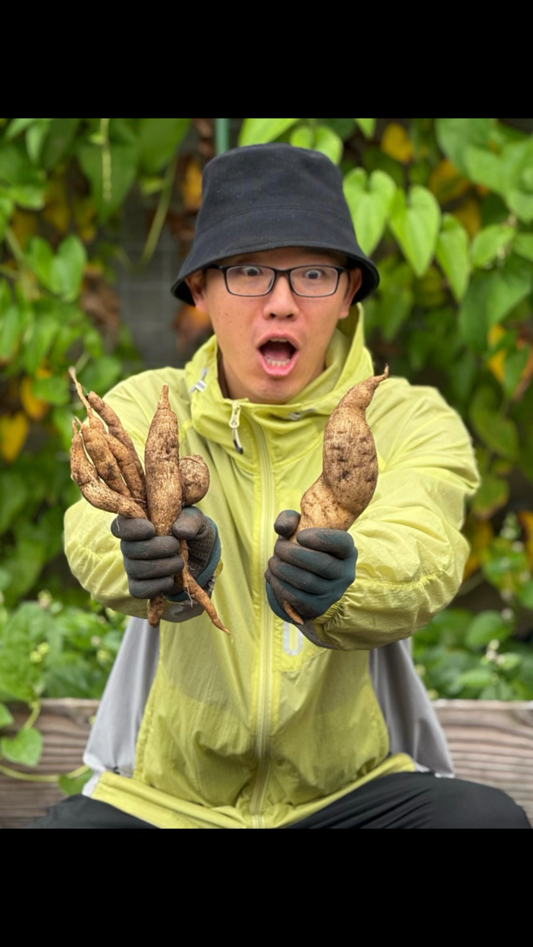 盆栽红薯不施肥能长的好吗