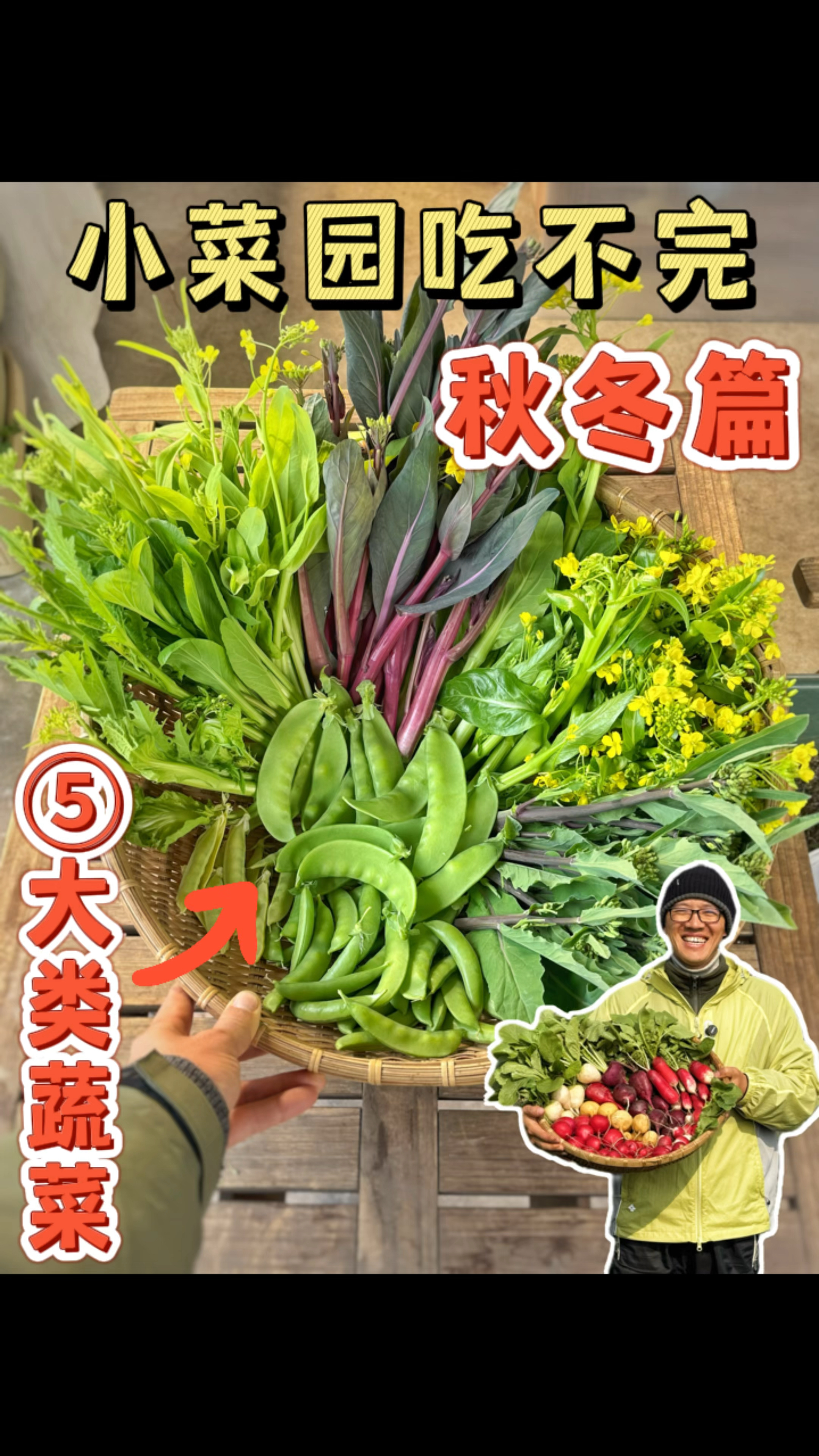 小菜园一年四季吃不完5大类蔬菜分享(秋冬季)