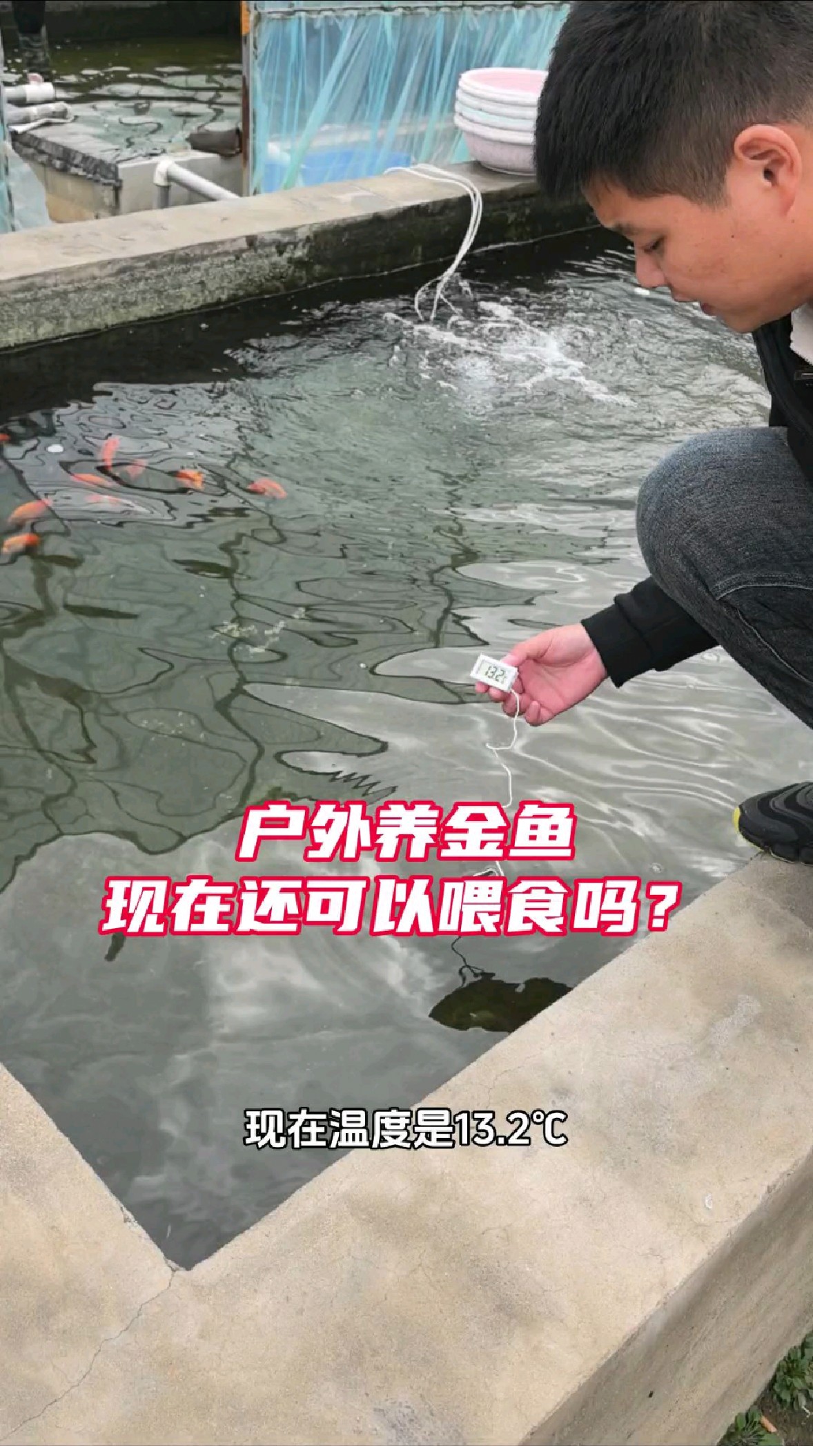 水温低于12摄氏度就不建议再投喂了