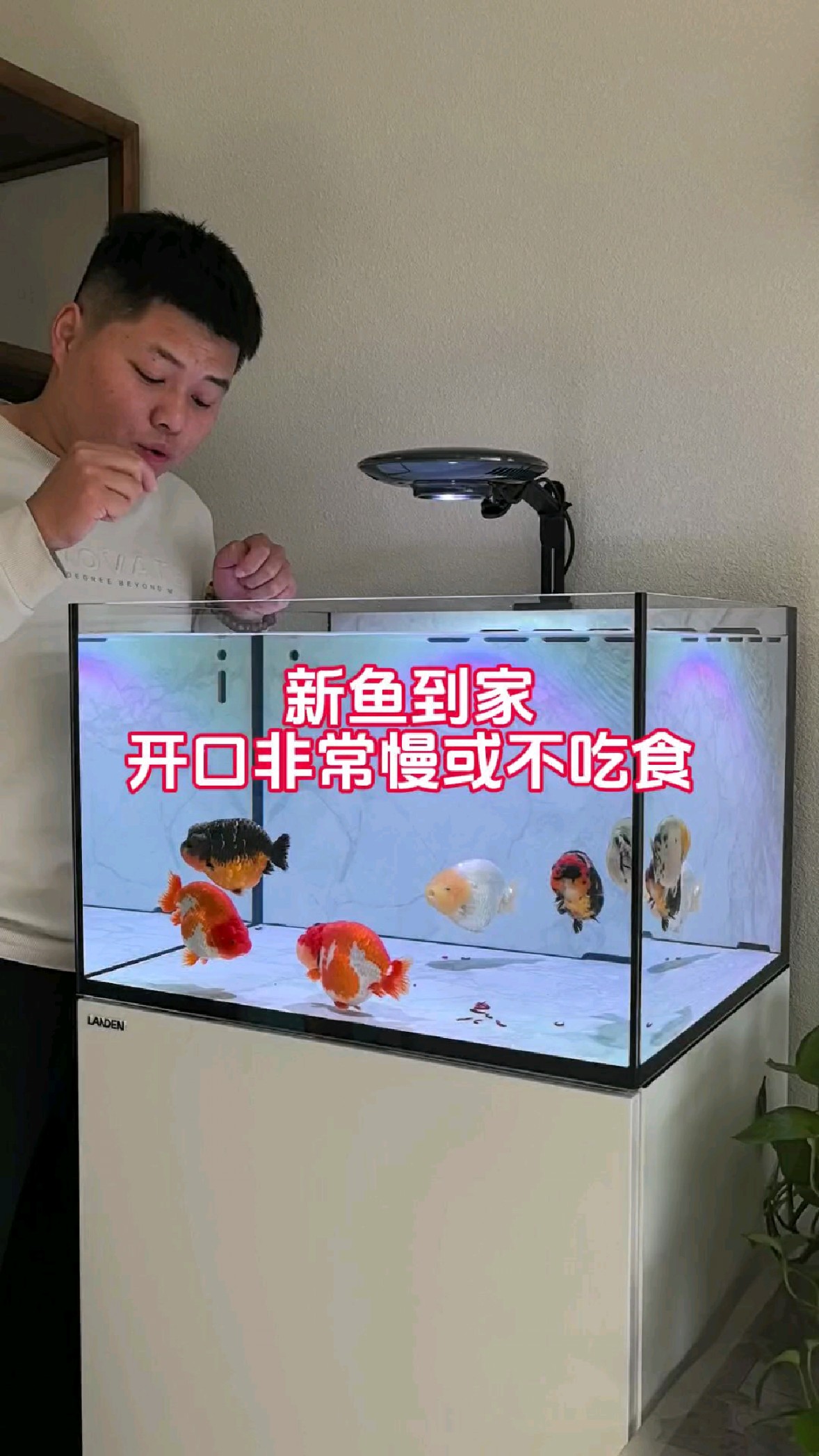 新鱼到家不开口怎么办?不用着急慢慢等