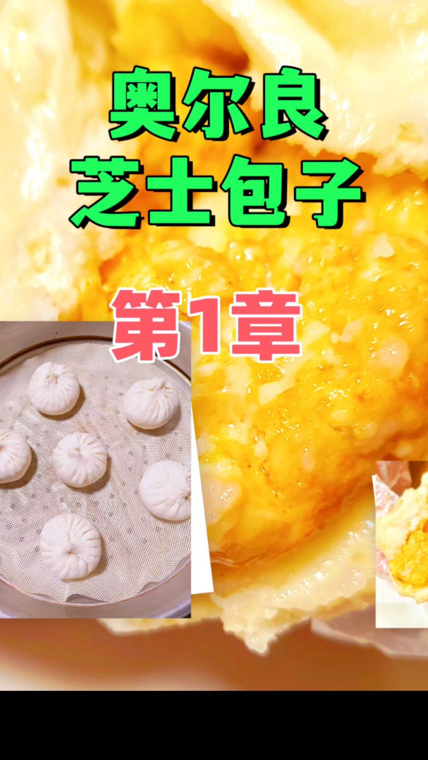 小白也能做,奥尔良芝士鸡肉包子核心配方免费分享!