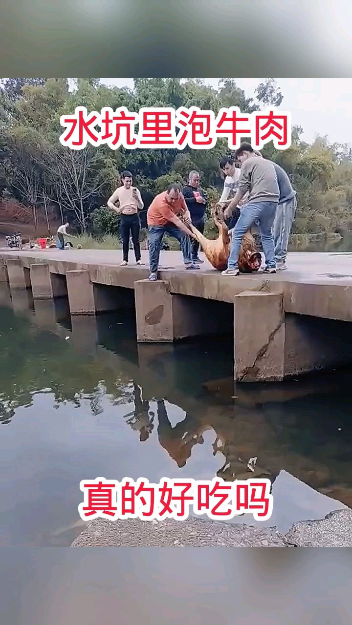 水坑里泡牛肉,真的好吃吗!