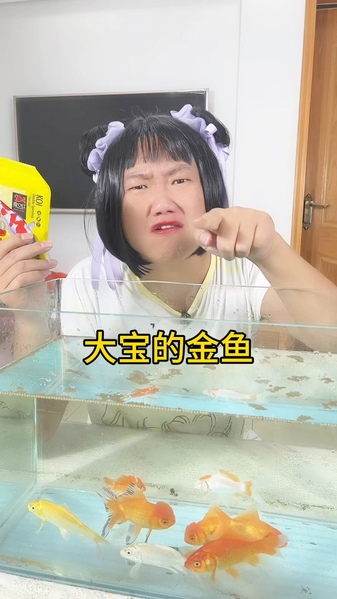 小金鱼不能喂太多