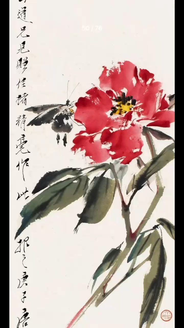 海上画派名家唐云先生写意牡丹及花鸟画作品欣赏