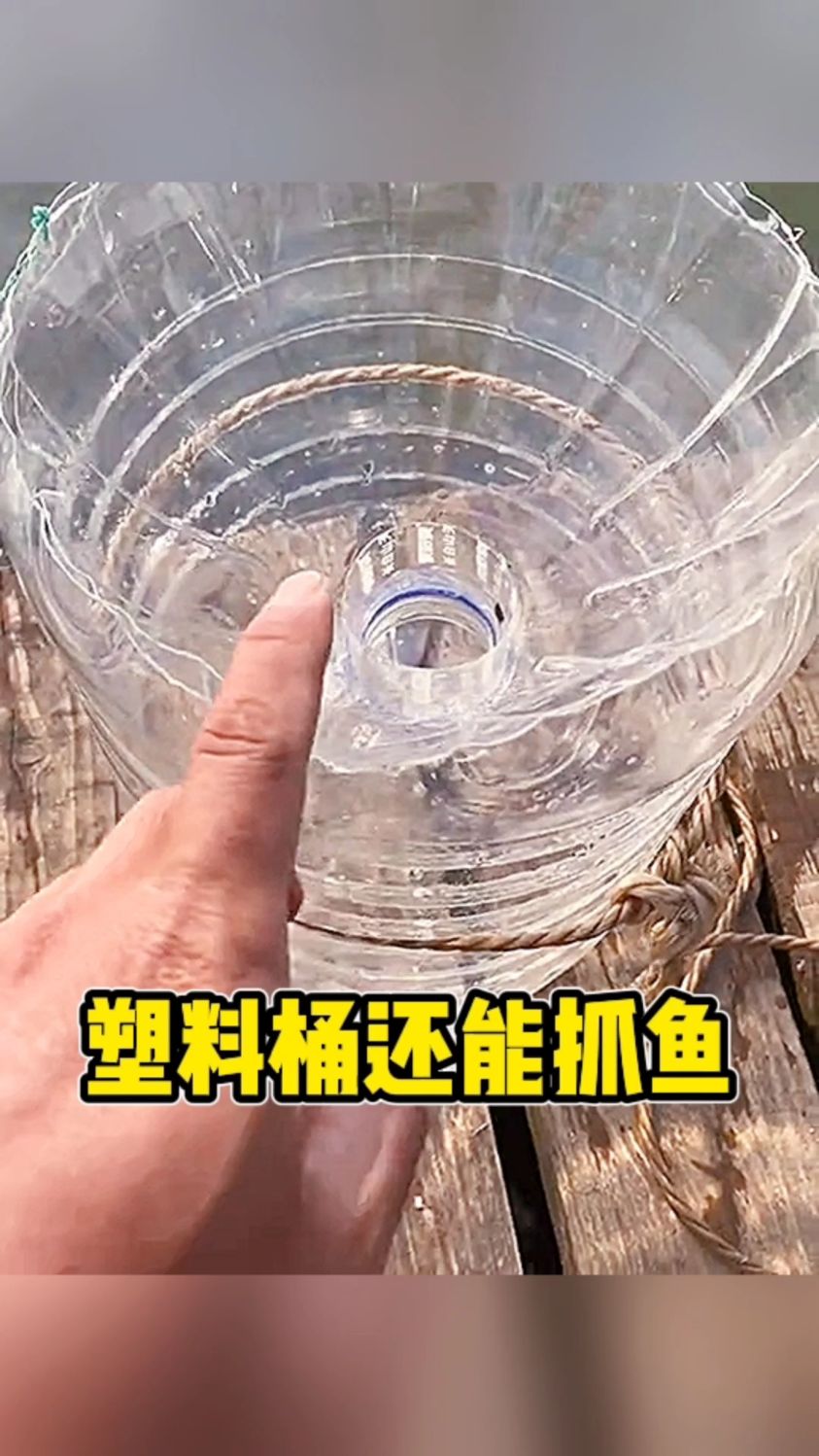 塑料桶还能抓鱼呢