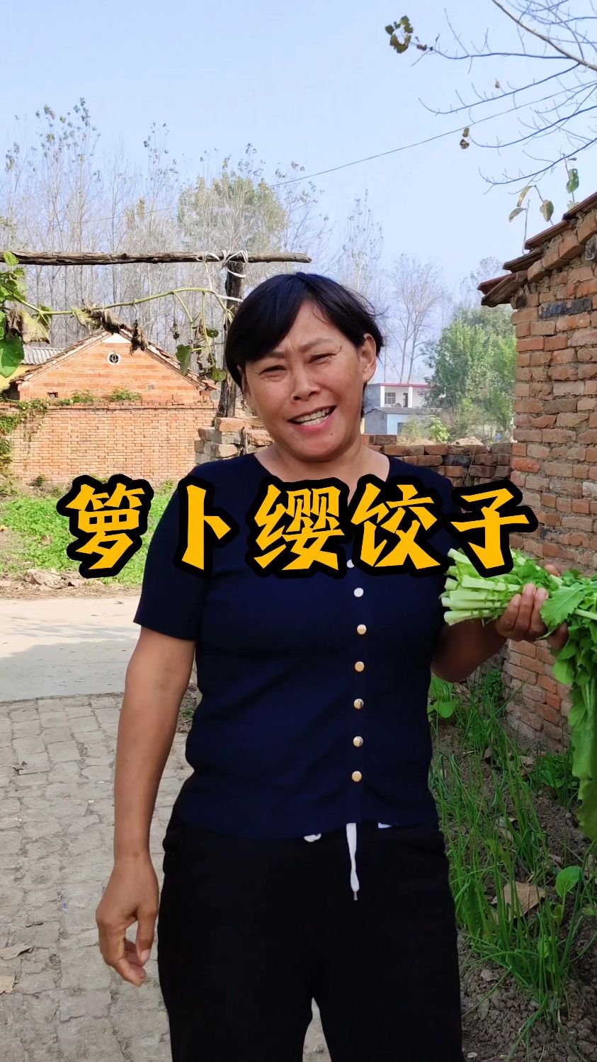 今天包箩卜缨子饺子,真的太好吃了,朋友们你们这样吃过吗实话