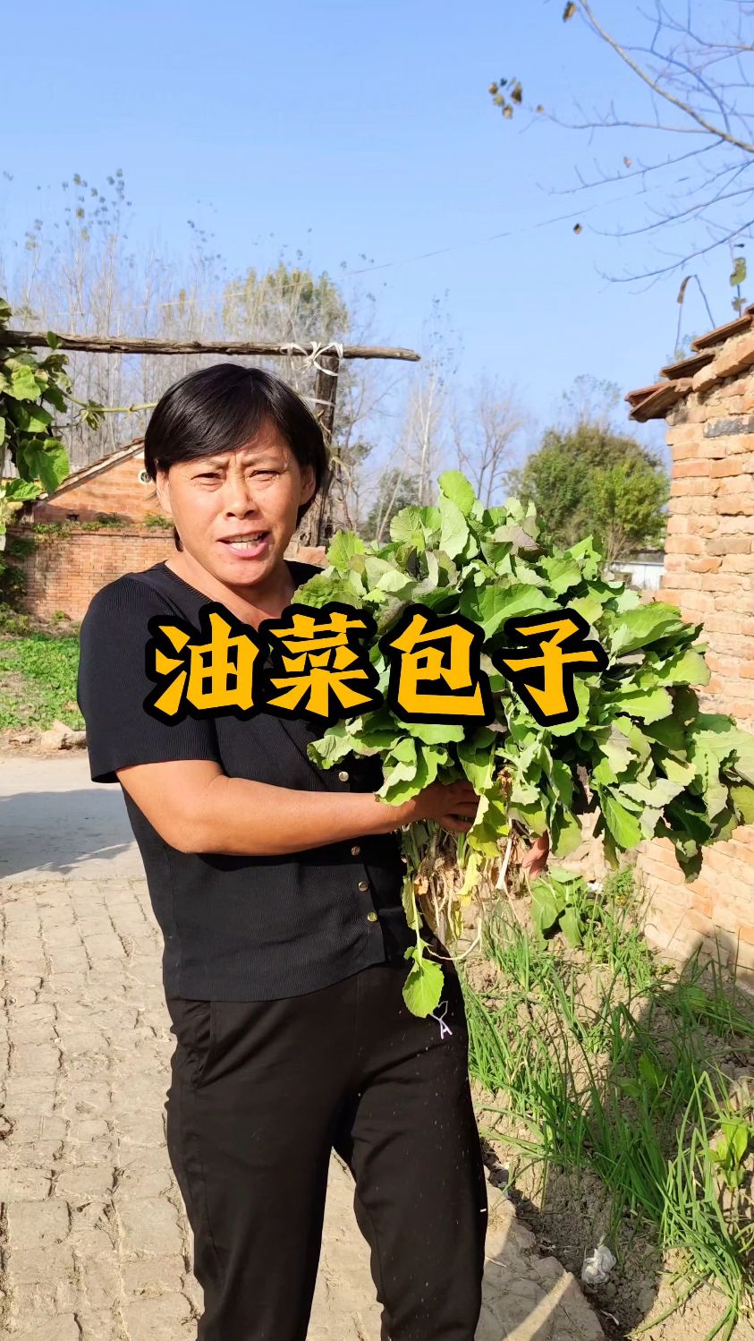 油菜花小时候就是这样的,今天我们包个油菜杆包子