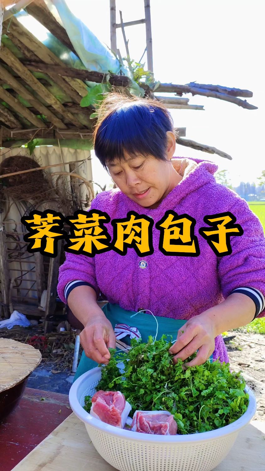 挖点荠菜,包个荠菜肉包子,皮薄馅大,营养又健康简单好吃又好做