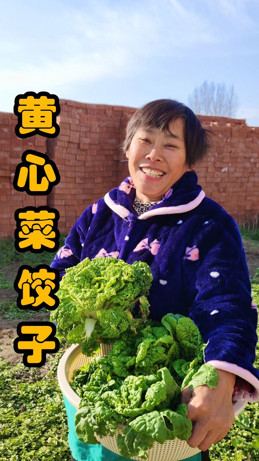 天冷来一碗热腾腾的饺子,别提有多幸福了!