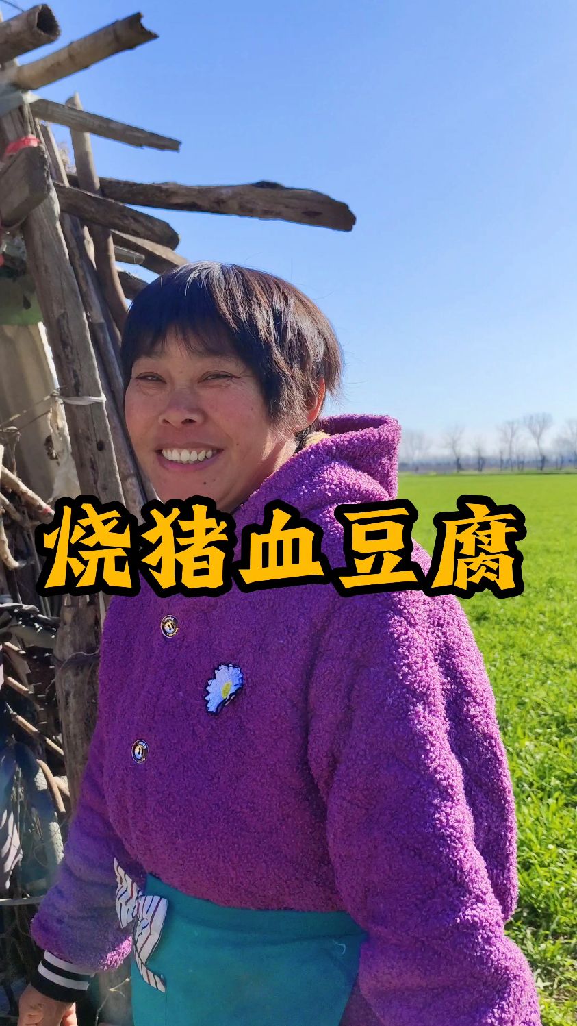 请你们吃猪血豆腐!