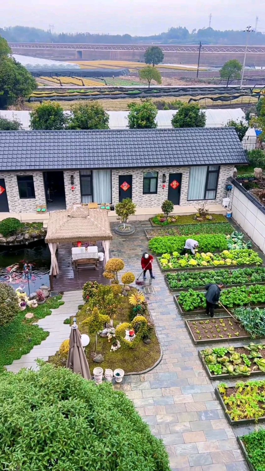 向往田园生活的你,建议打造庭院小菜园,结果真的太惬意了!