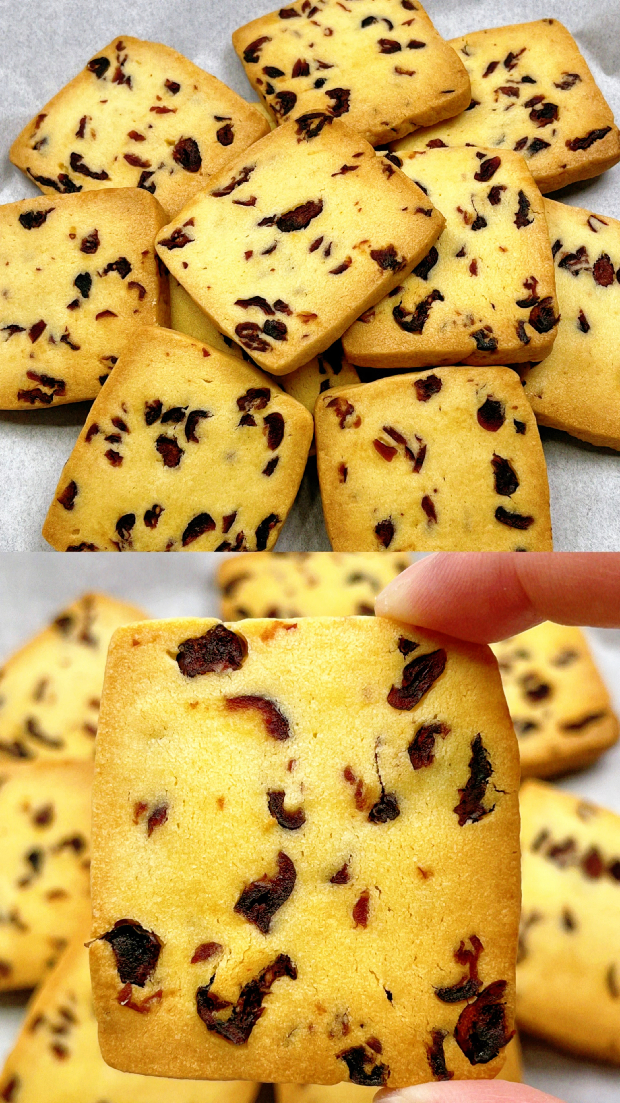 蔓越莓曲奇 减糖减油版 有手就会系列