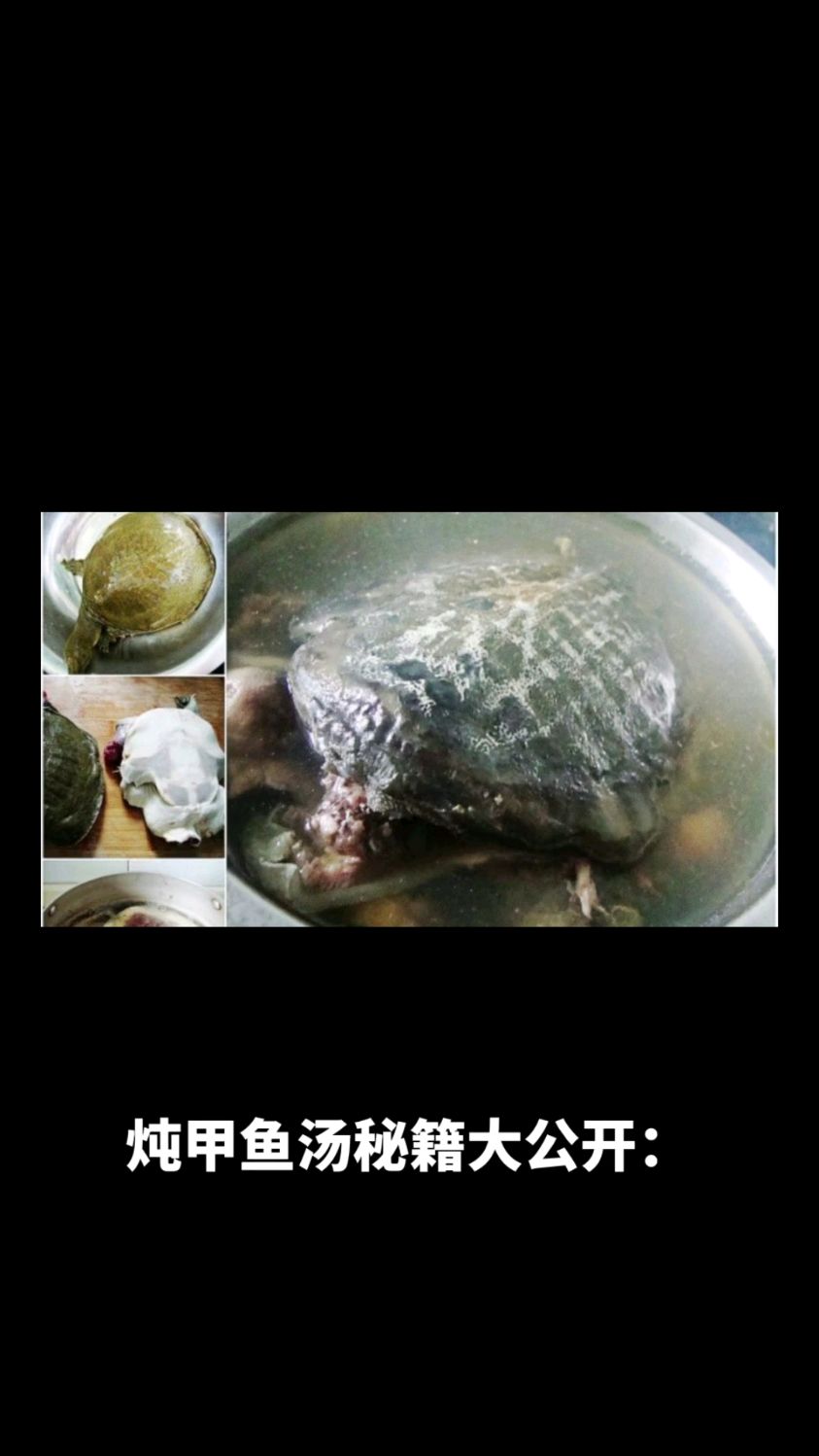炖甲鱼汤的正确方式,10步打造营养盛宴