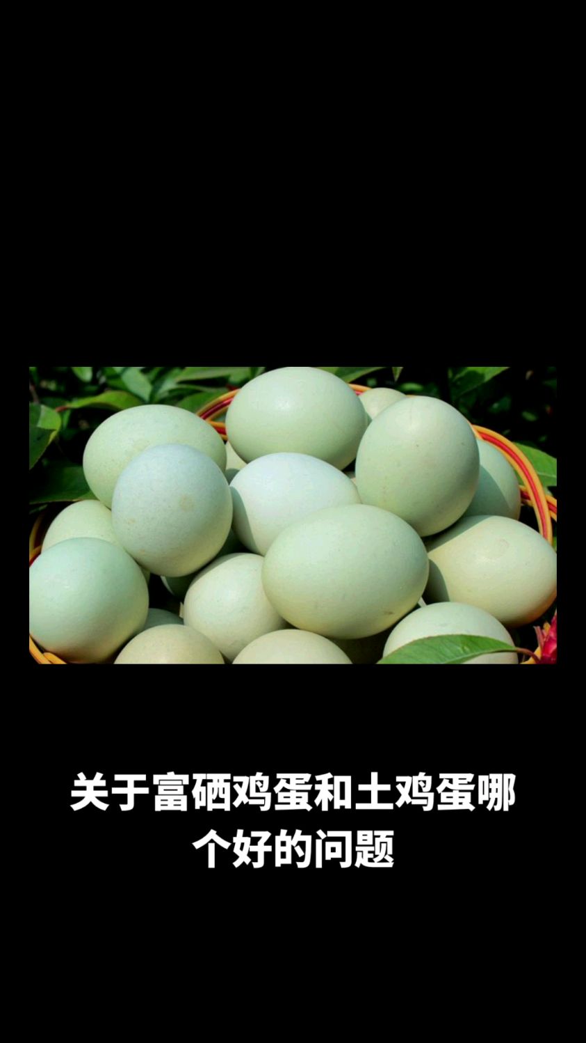 富硒鸡蛋和土鸡蛋哪个好,各有千秋