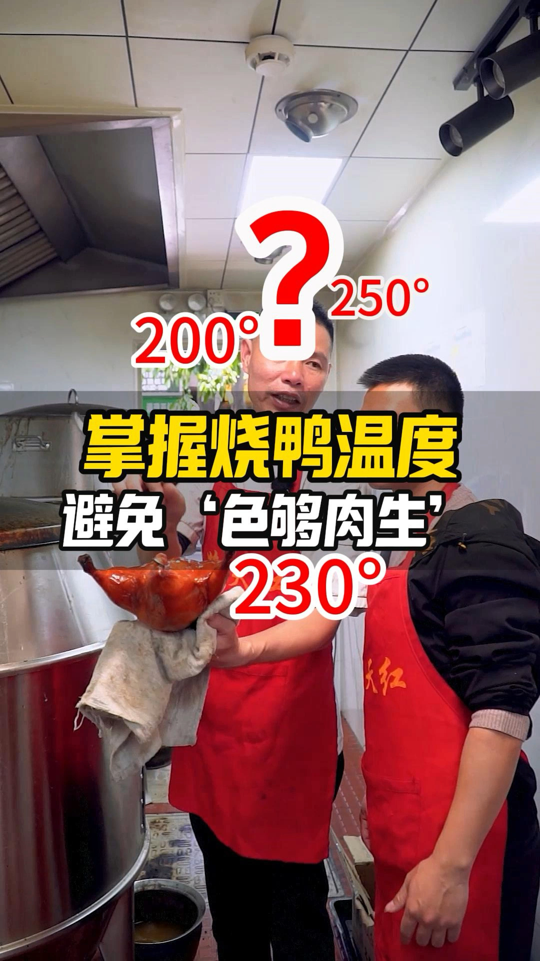 烧鸭炉温控制:如何掌握好烧鸭的温度与时间