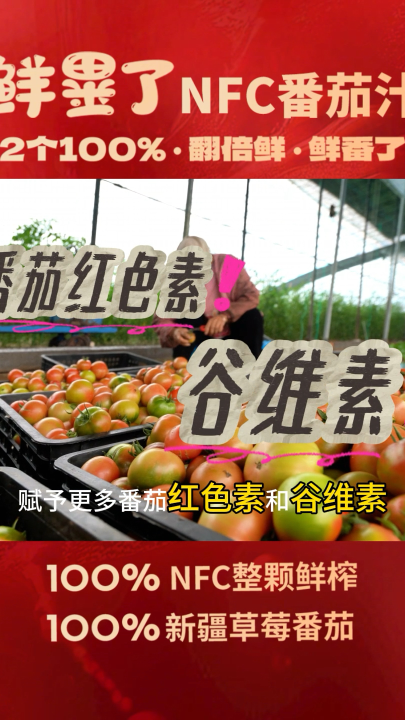NFC番茄汁 100%新疆原产地 番茄选自巴夫巴夫墨玉基地