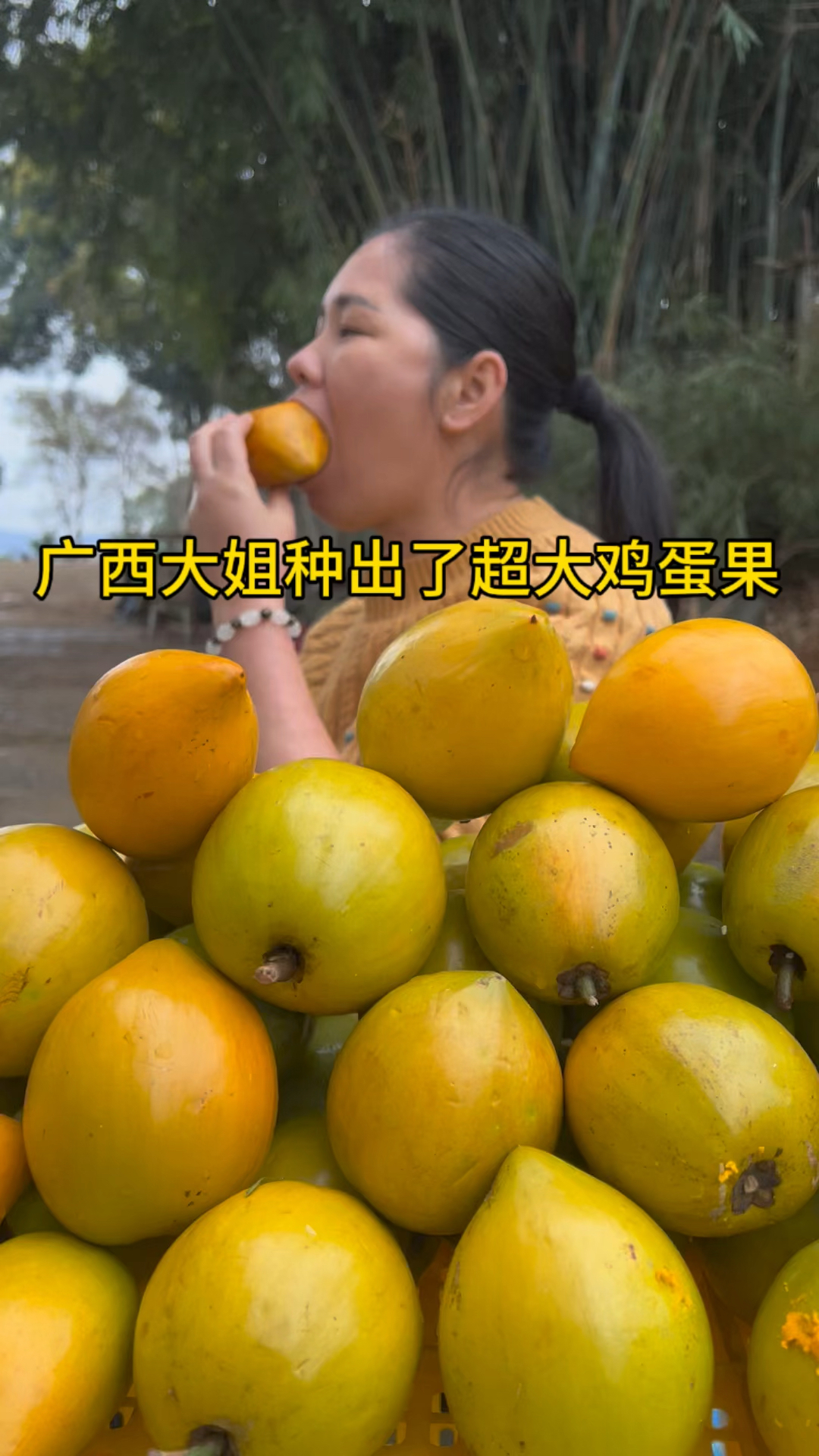 广西一大姐种出超大鸡蛋果#水果#自家果园