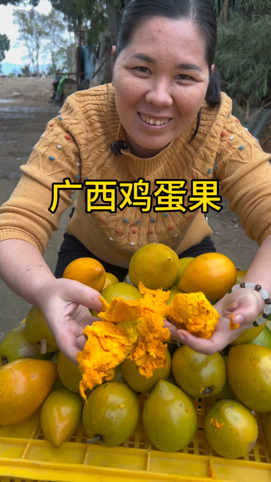 广西大姐种出的蛋黄果成熟了#水果#自家果园
