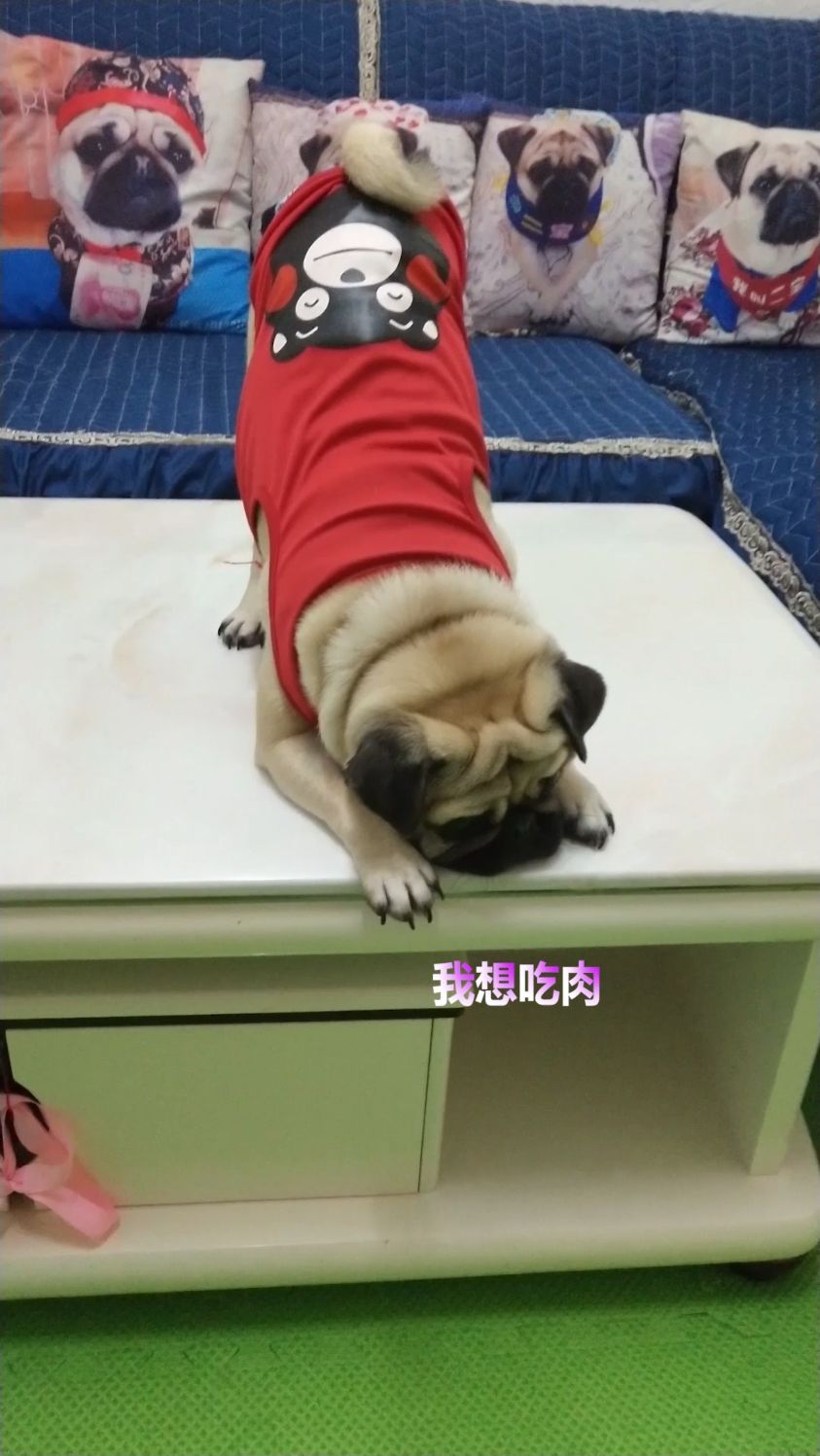 我想吃肉不想吃大米粥
