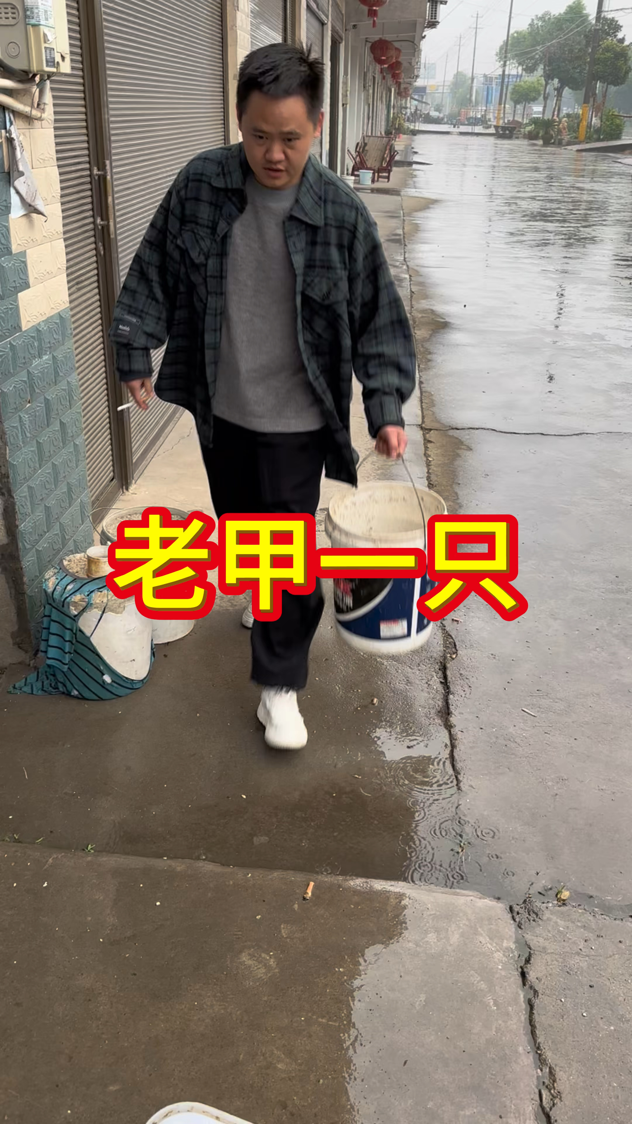 超老的极品野生甲鱼