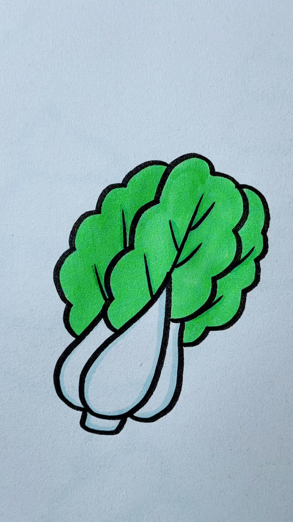 一起来画大白菜!