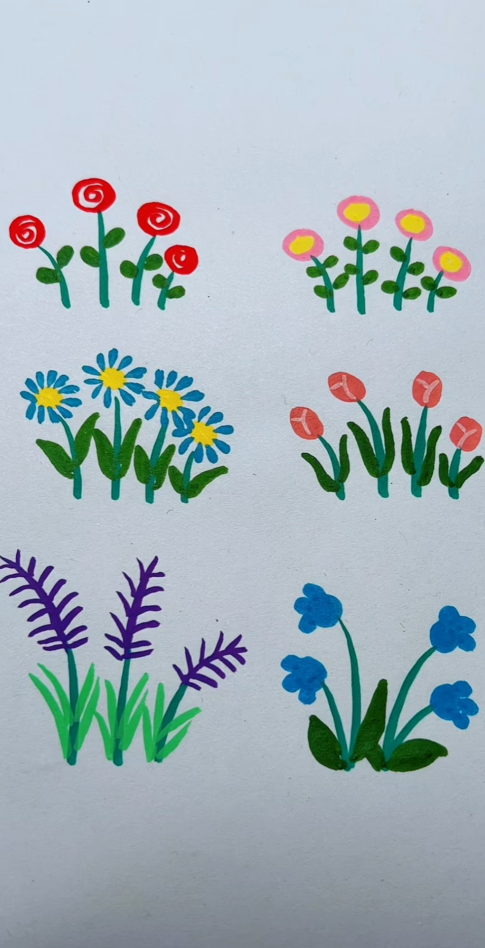 几种小花的简单画法