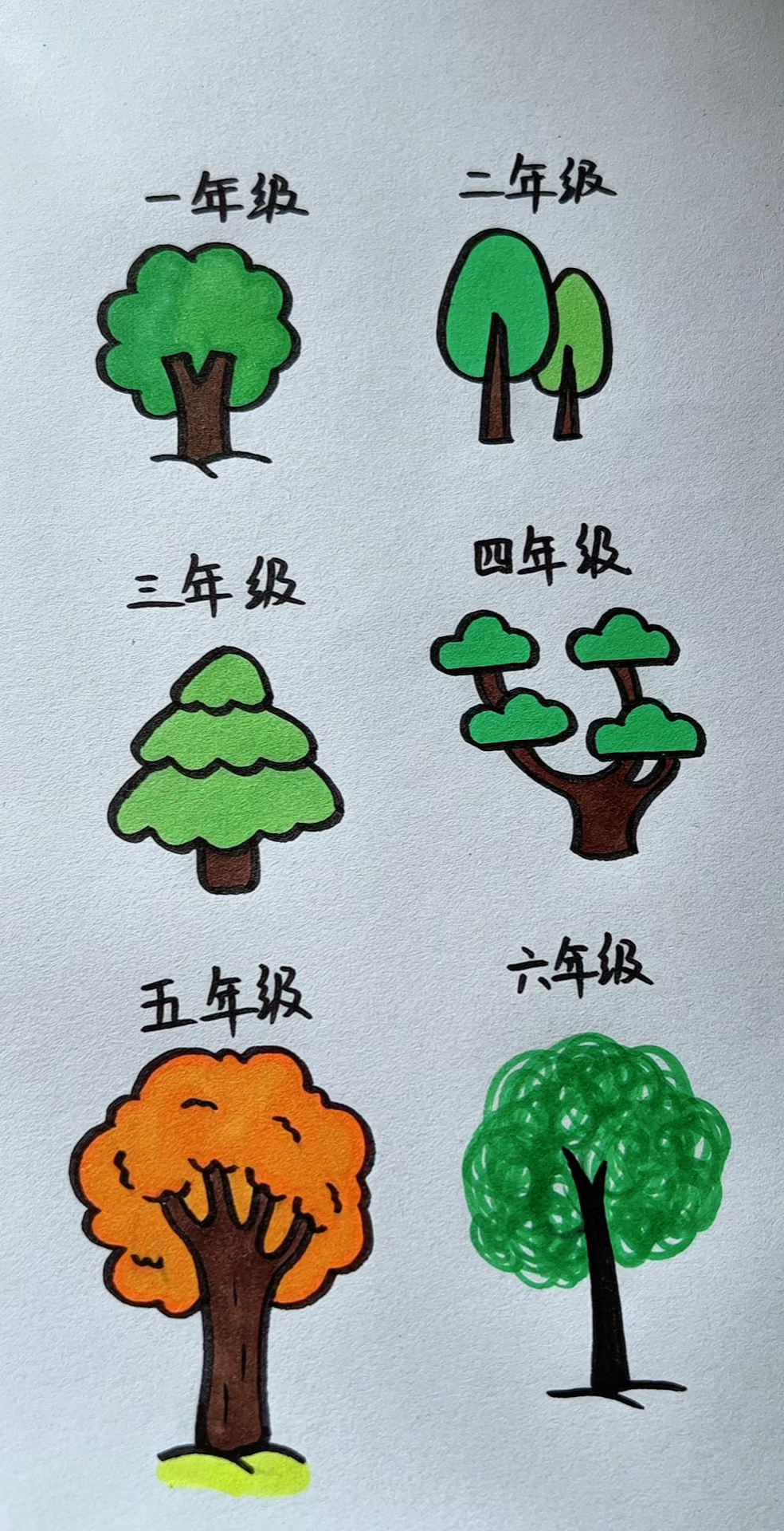 不同年级画的树!